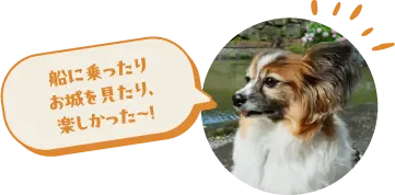 船に乗ったりお城を見たり、楽しかった〜！