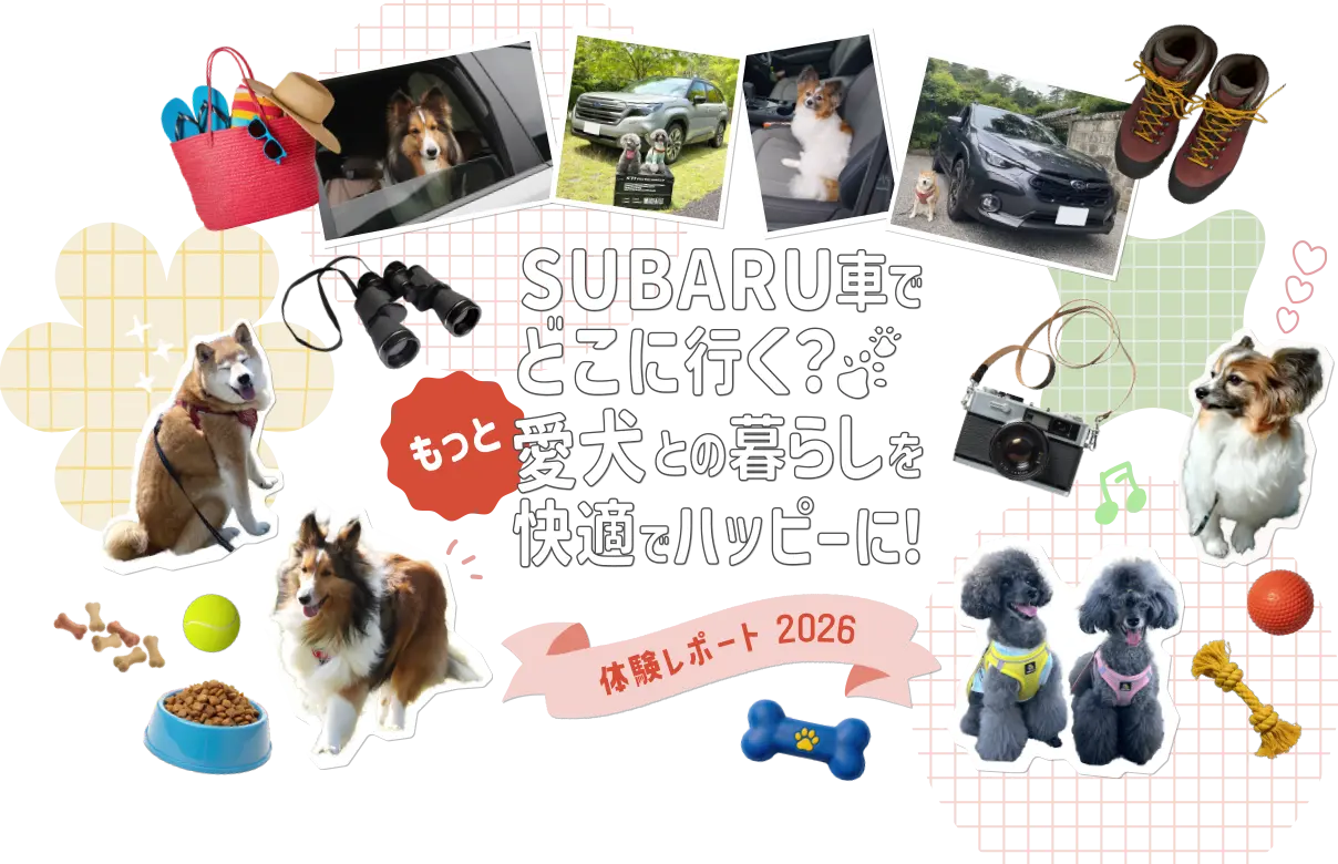 SUBARU車でどこに行く？愛犬との暮らしをもっと快適でハッピーに！体験レポート 2026