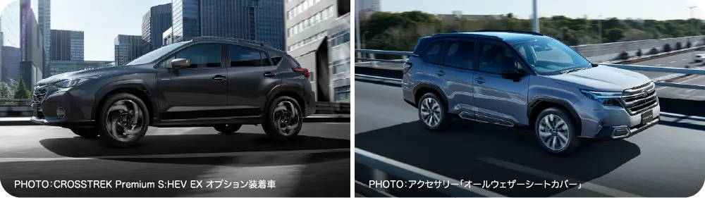 TRAILSEEKER GT-H EX オプション装着車