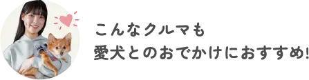 こんなクルマも愛犬とのお出かけにおすすめ！