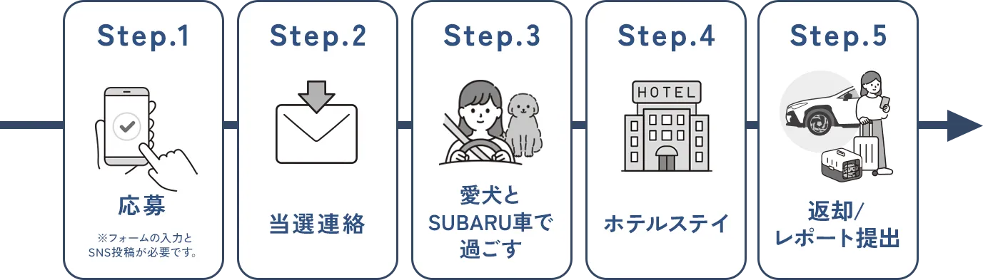 応募の流れ