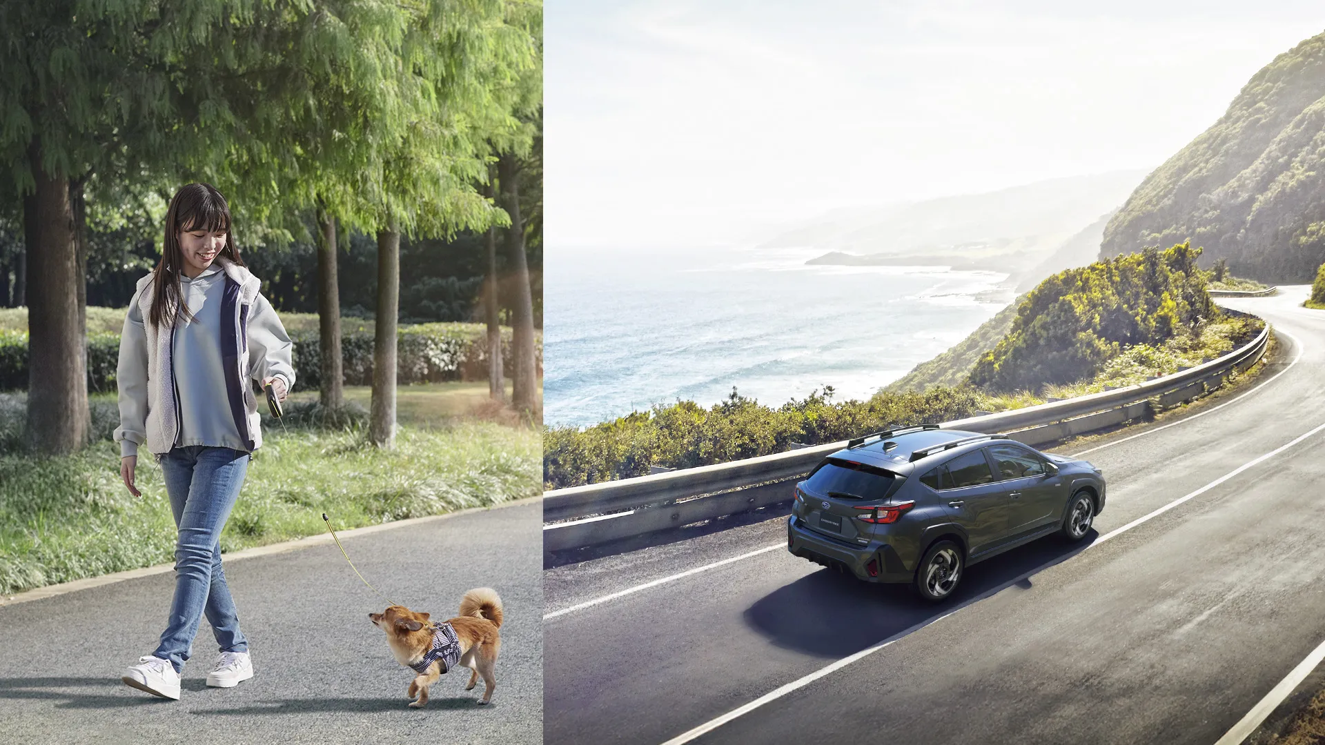 SUBARUで特別な10daysをDriving with Dogs Campaign