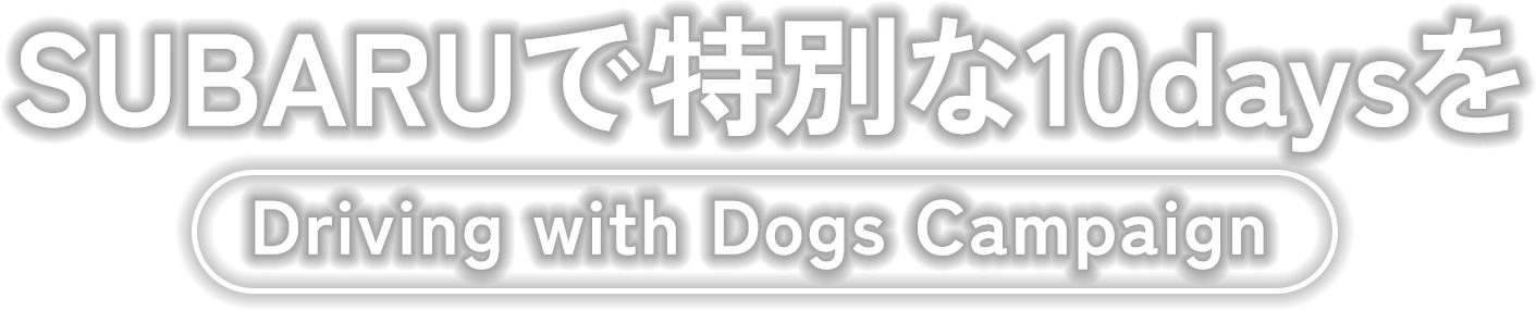 SUBARUで特別な10daysをDriving with Dogs Campaign
