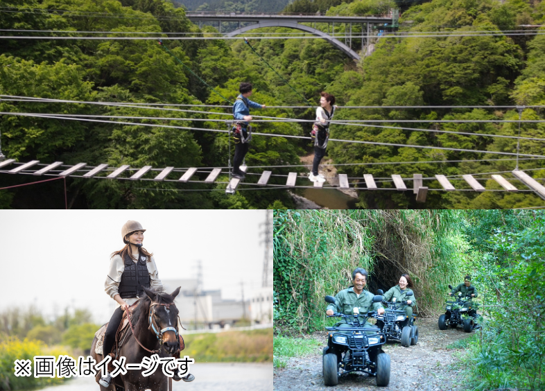 アソビュー！ギフト EXCITING Gift Premium