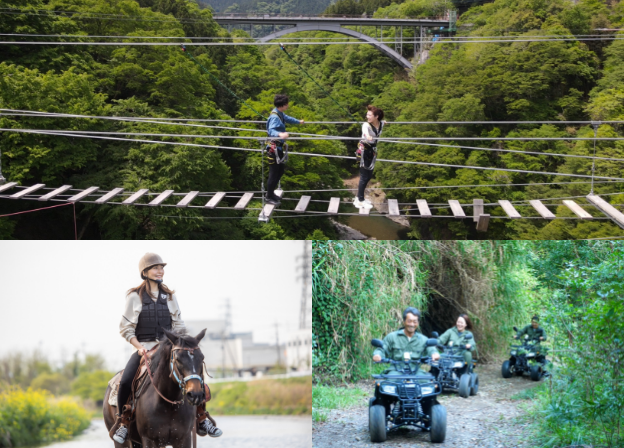 アソビュー！ギフト EXCITING Gift Premium