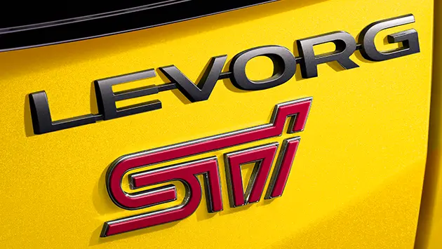 LEVORG　Luster Black Ornament