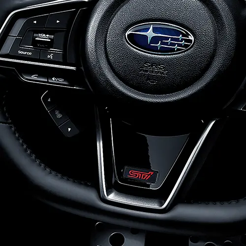 LEVORG　Black Stitch