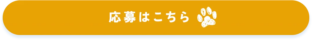 応募する