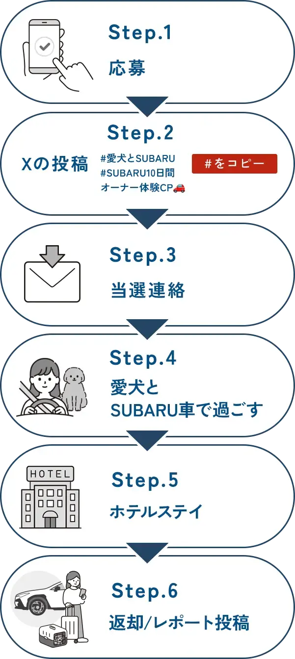 応募の流れ