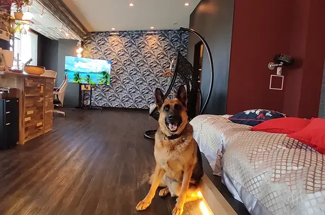 箱根強羅グアムドッグ本店 ワンちゃんとくつろぐイメージ