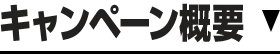 キャンペーン概要