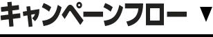 キャンペーンフロー