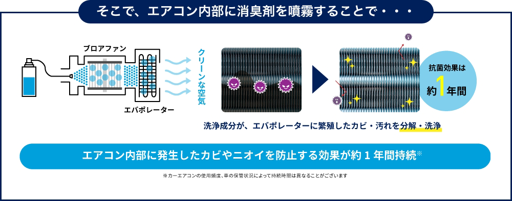 エアコン内部に消臭剤を噴霧することで得られる効果の図。プロファンとエバポレーターの模式図があり、消臭剤を噴霧してクリーンな空気が供給されるイメージ。エバポレーターに付着したカビや汚れを分解・洗浄し、抗菌効果が約1年間持続することを示しています。エアコン内のカビやニオイを防止する効果が約1年間持続すると説明されています。