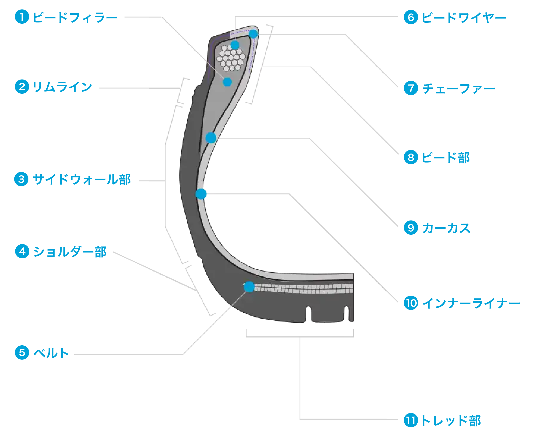 乗用車用タイヤの断面構造