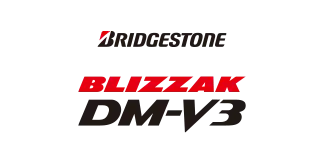 BLIZZAK DMV3