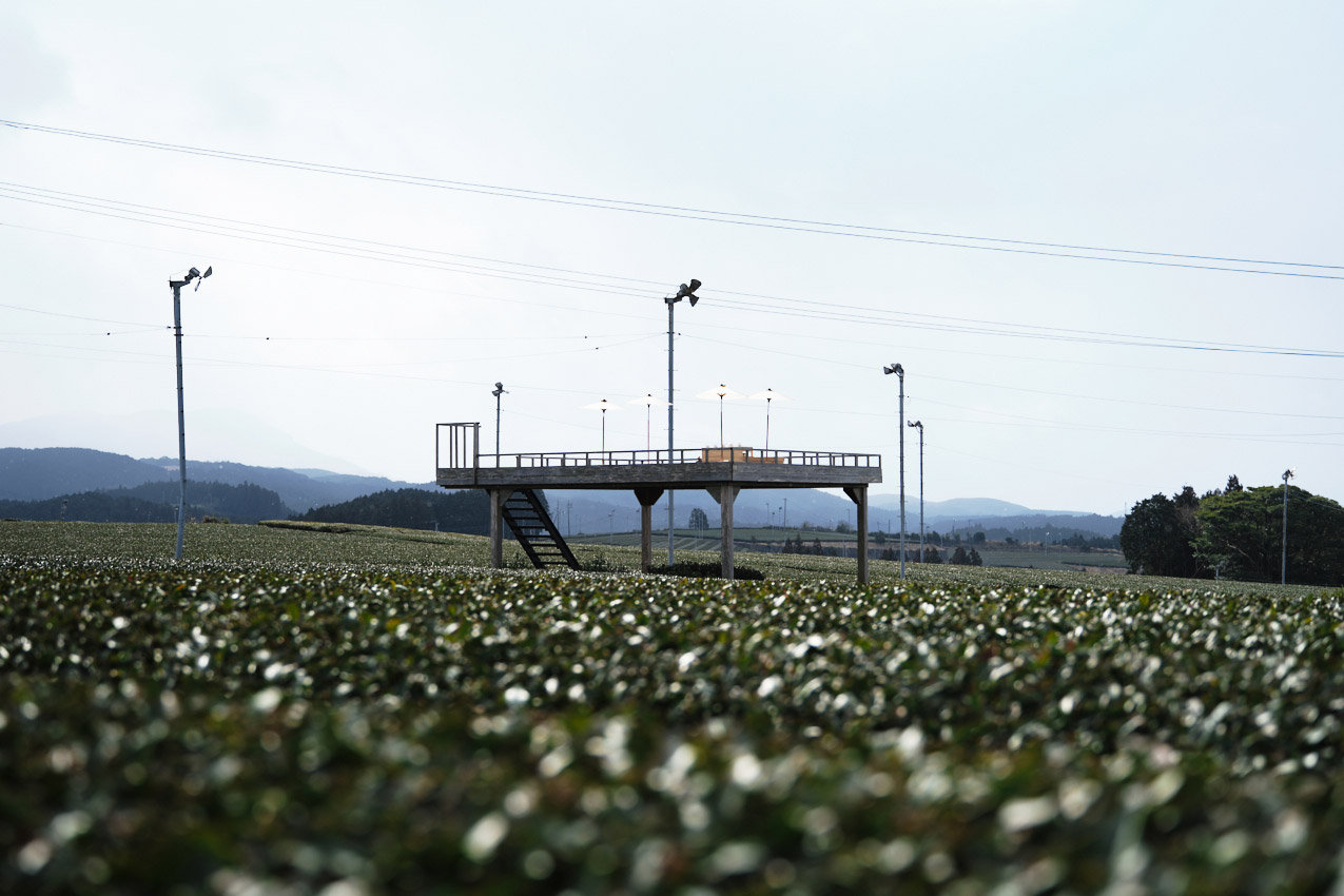 佐賀県 「Tea tourism」茶畑に建つ茶塔 | SUBARU グランドツーリングNIPPON