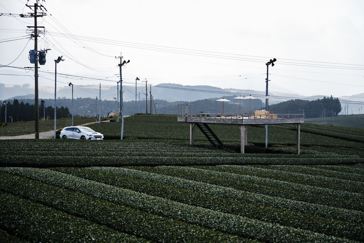 佐賀県 「Tea tourism」茶畑とレヴォーグ | SUBARU グランドツーリングNIPPON