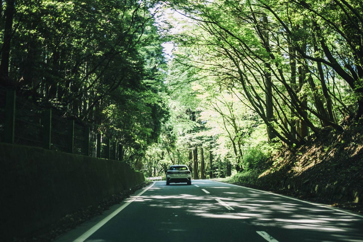 静岡県 木漏れ日が差す山道を走るレヴォーグ | SUBARU グランドツーリングNIPPON