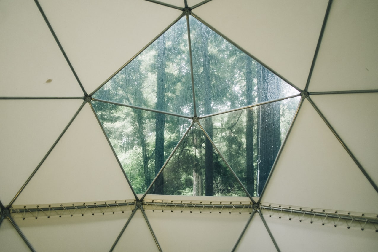 静岡県 INN THE PARK ドーム型テントの窓から見える森林 | SUBARU グランドツーリングNIPPON