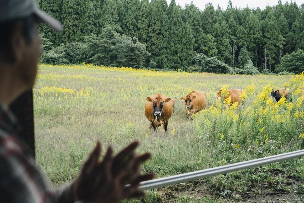 石川県 どぢゃまファーム（寺西牧場）の牧場主 寺西喜久次さんの呼びかけでやってくるジャージー牛たち | SUBARU グランドツーリングNIPPON | SUBARU | レヴォーグ
