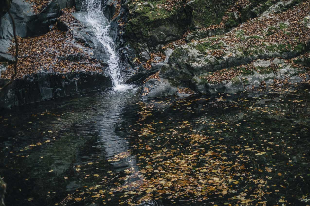 大分県 川の底が見えるほど澄んだ滝壺 | SUBARU グランドツーリングNIPPON | SUBARU | レヴォーグ