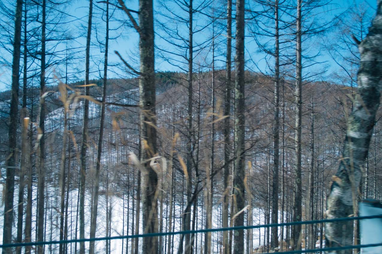 長野県 戸隠山へと向かう山道を走るレヴォーグから見える雪の景色 | SUBARU グランドツーリングNIPPON | SUBARU | レヴォーグ