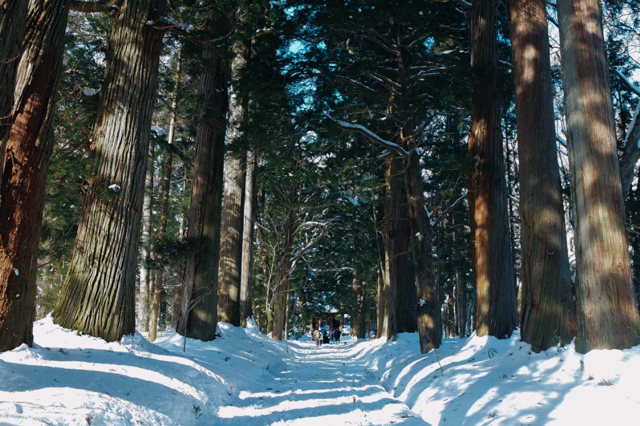 長野県 深雪のなか約500mにわたり200本以上の巨樹が連なる並木道 | SUBARU グランドツーリングNIPPON | SUBARU | レヴォーグ