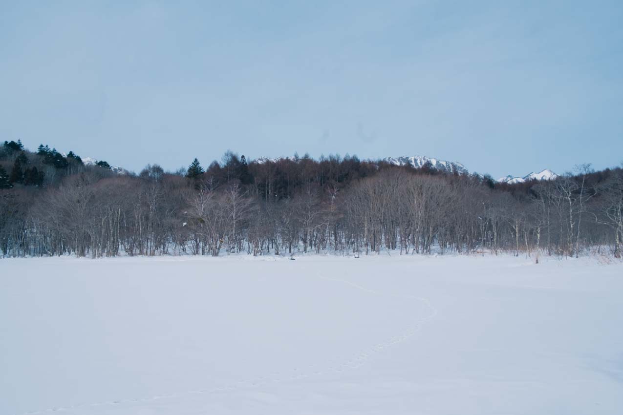 長野県 木々が一本もなく一面が雪原となった小鳥ヶ池の様子 | SUBARU グランドツーリングNIPPON | SUBARU | レヴォーグ