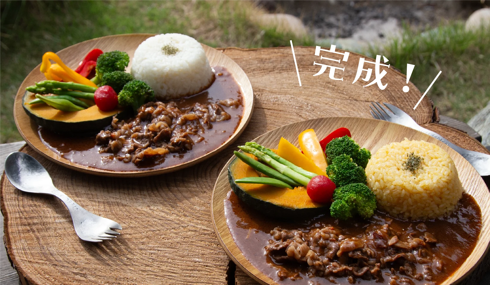 ビーフストロガノフ イメージ