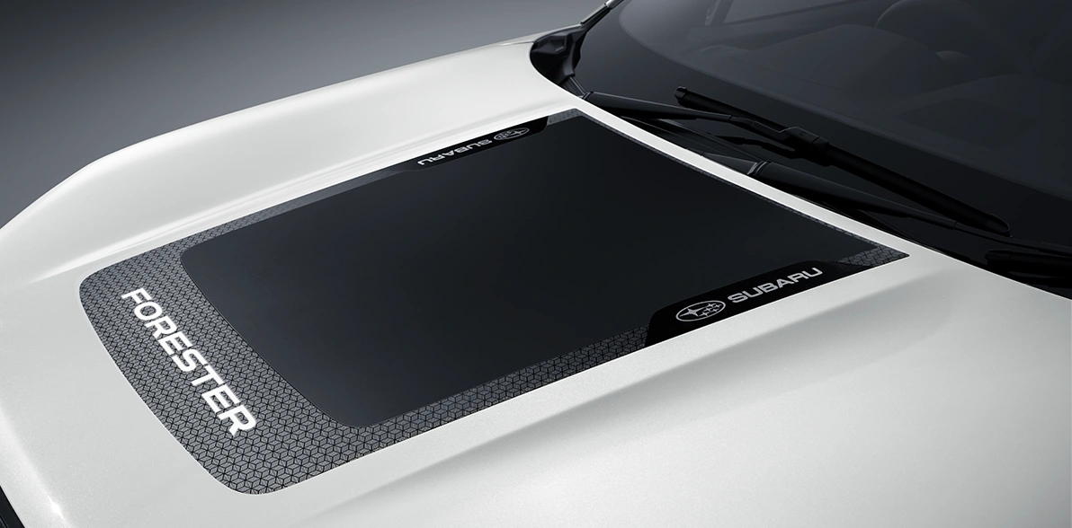 フォレスター for Adventure シーン アドベンチャースタイルパッケージ（デカール）フードデカール