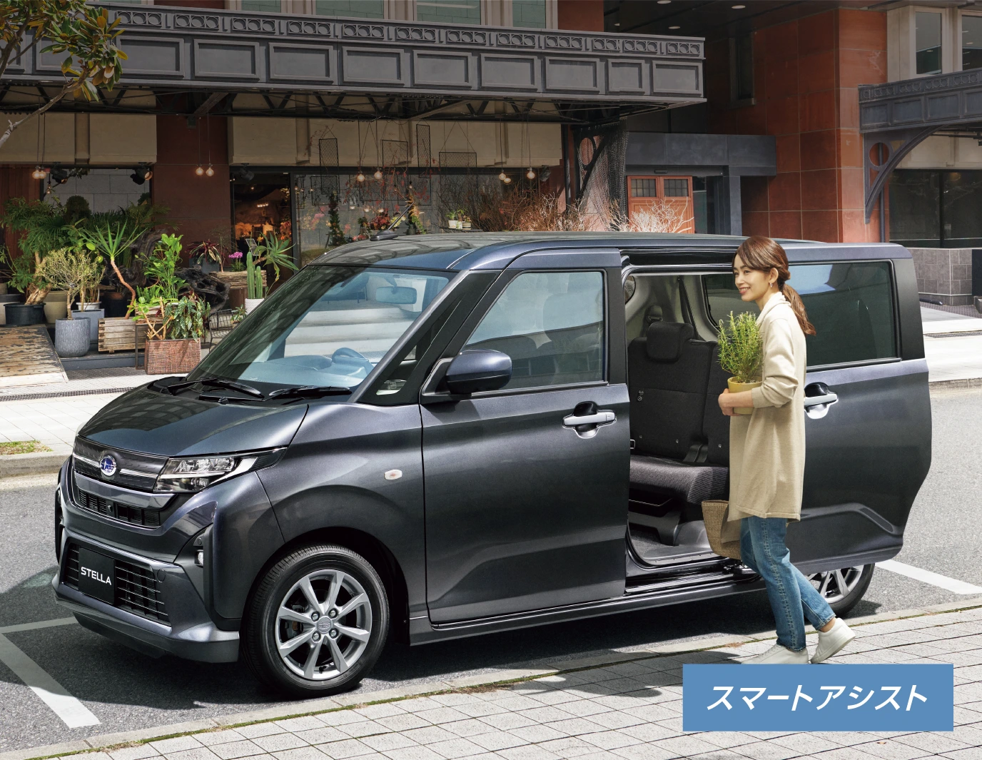 ステラ イメージ