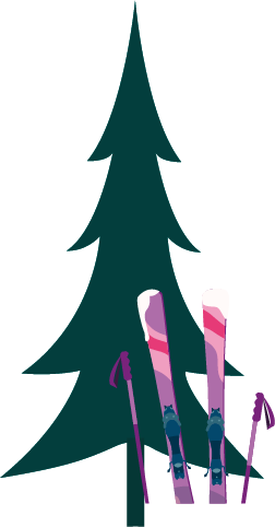 スキー板とスキーポール イメージ