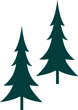 スキー場の樹木 イメージ