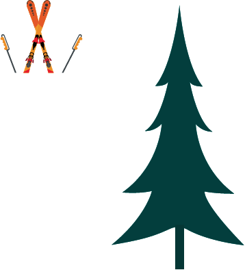 スキー板とスキーポール イメージ