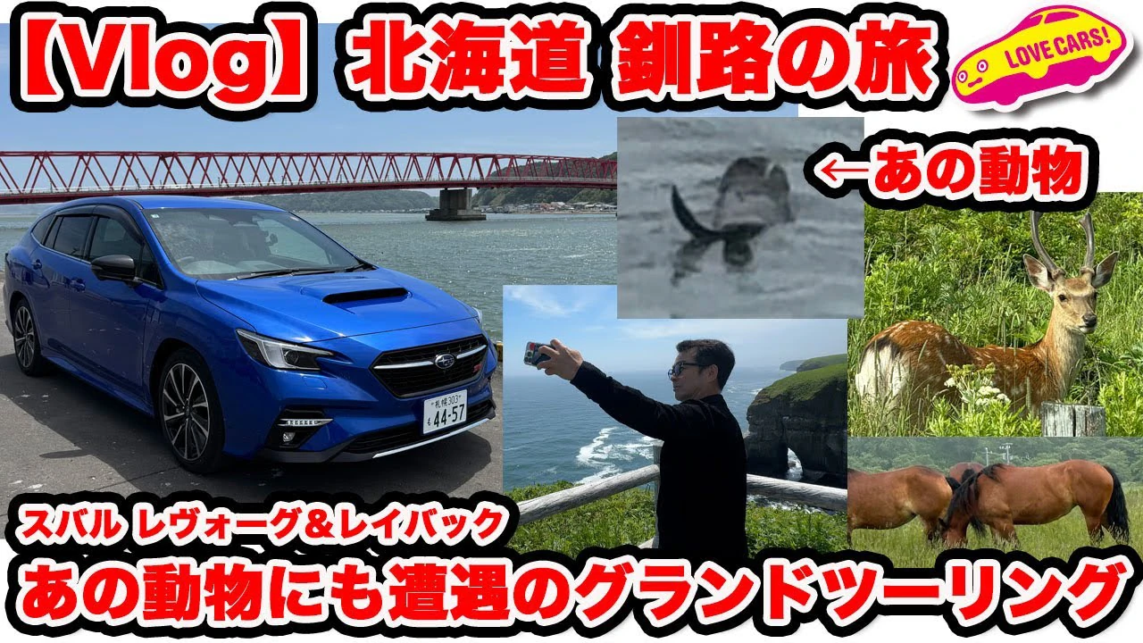 河口まなぶが釧路で動物に遭遇するツーリングVlog