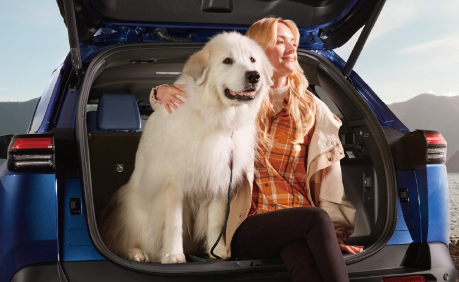 トレイルシーカー カーゴルーム イメージ