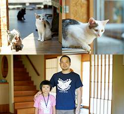 カートピア10月号の取材で訪れたてしま旅館の猫庭。てしま旅館の手島英樹さんと猫庭「館長」姫萌ちゃん