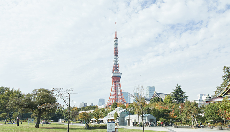 芝公園付近から見た東京タワー
