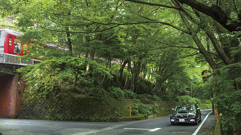 箱根ドライブの途中、国道1号から脇にそれると偶然、木々の間から箱根登山鉄道の赤い車両が見えた。　