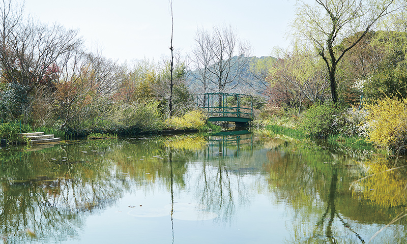 モネが描いた風景に出会える「水の庭」。5月には手前の池に睡蓮が、奥の太鼓橋には藤の花が咲く。