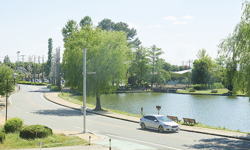 行田市民の憩いの場となっている水城公園。池では釣りをすることもできる。