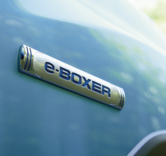 e-BOXER イメージ