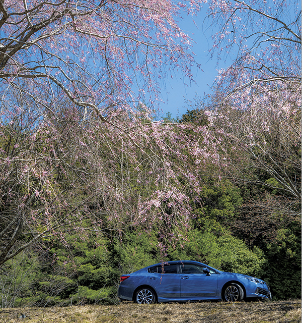 吉野の桜とインプレッサG4 1.6i-S EyeSight。