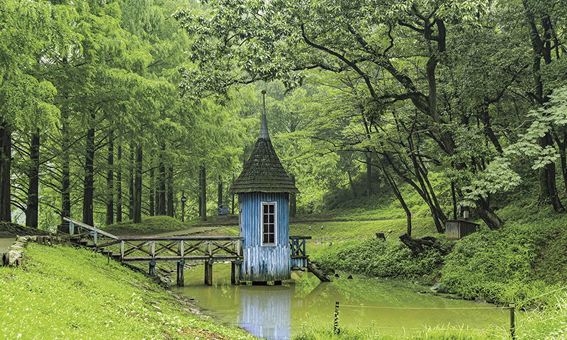 アケボノスギに囲まれた池の中に静かに佇む「水浴び小屋」は、人気の撮影スポット。