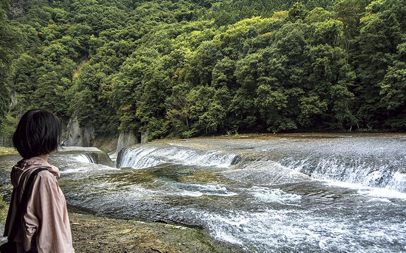 大きな岩の裂け目に水が流れ込む「吹割の滝」。吊橋や観瀑台からも望める。