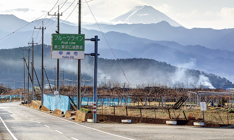 フルーツラインは甲府盆地北斜面（山梨市、甲州市、笛吹市）の果樹地帯を抜ける広域農道。奥に見えるのは富士山。
