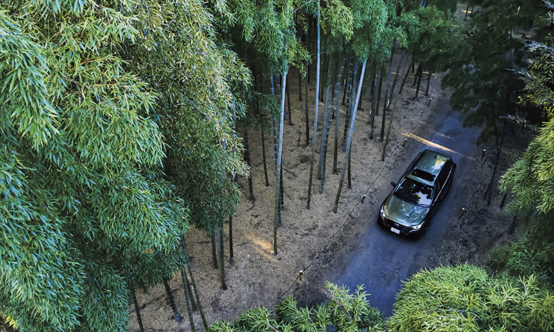 カートピア ツーリング 若竹の杜 若山農場の竹林とアウトバック | SUBARU