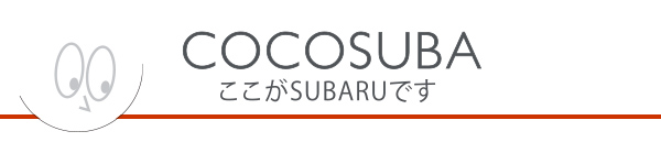 カートピア 「ここがSUBARU」というポイントを開発スタッフが紹介するCOCOSUBA | SUBARU