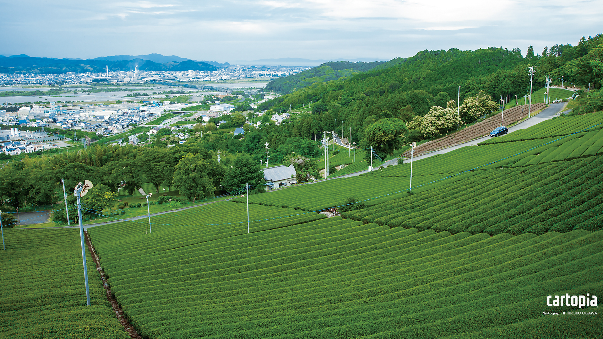 カートピア 3月のラッキー壁紙  静岡県の茶畑とLEGACY OUTBACK | SUBARU