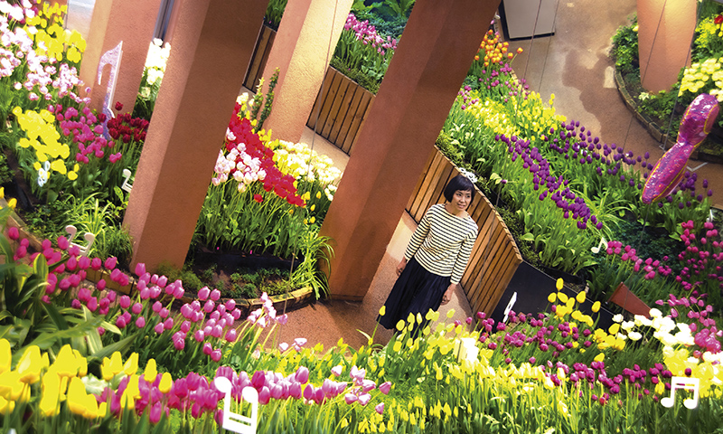 カートピア 1年中、色とりどりのチューリップが咲き誇る「パレットガーデン」の様子 | SUBARU